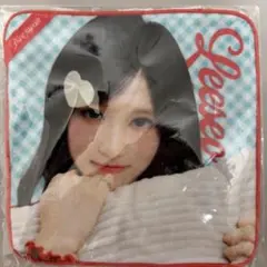 IVE DIVE JAPAN 会員限定くじ ソロタペストリー LIZ - メルカリ