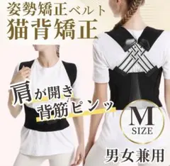 Item thumbnail for item a3477cd2-8223-4f3d-b97f-657fff8bac84