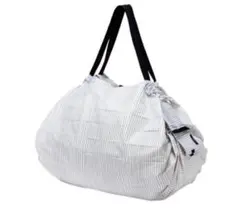 Item thumbnail for item b00491ef-7025-4744-be74-246780f63ff0