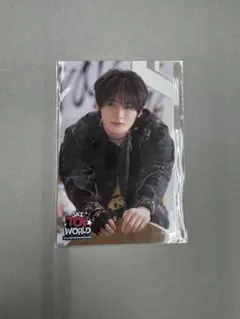 Stray Kids スキズ TOY WORLD FCくじ リノ