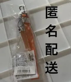 超特急　ハル　ペンライト　柏木悠　ＥＶＥ　匿名配送 超特急 ハル ペンライト 柏木悠 EVE 匿名配送 - メルカリ