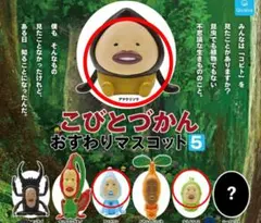 【未開封】こびとづかん おすわりマスコット5、3体セット