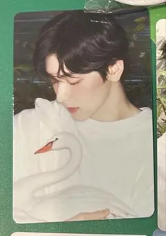 TXT starkissed ポップアップ トレカ スビン