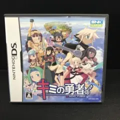 キミの勇者　NintendoDS