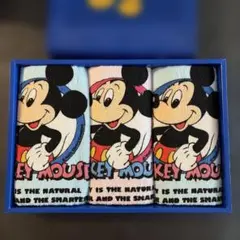 昭和レトロ　ディズニー　ミッキーマウス　タオルセット　新品未使用
