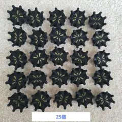 ゴルフ　スパイク鋲　softspikers25個 FootJoy