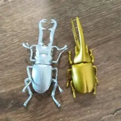 アニア　ゴールドカブトムシ　ヘラクレス　シルバー　クワガタ
