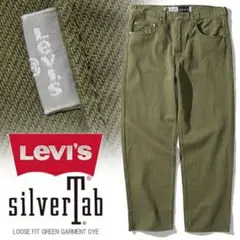 LEVI’S リーバイス silvertab loose