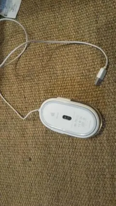 Apple マウス Mouse M5769 USB接続Mac