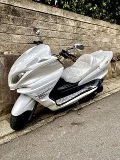 2025年最新】グランドマジェスティ マスクの人気アイテム - メルカリ