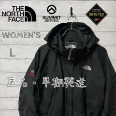 ノースフェイス マウンテンパーカー L 黒 ジップインジップ ゴアテックス