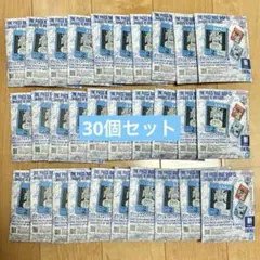 ワンピース ベースショップ アクリルブロックチャーム 【1〜3月】未開封30個