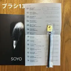 SOYO スムースリフター 未使用 SOYO スムース リフター