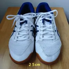 asics 卓球シューズ 25.0cm ホワイト/ネイビー