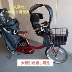 【Ｒeｉ✿様専用】電動アシスト自転車 ヤマハ パスバビーアン 前後チャイルド付