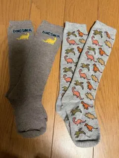 恐竜デザイン キッズ靴下 2足セット13〜15cm