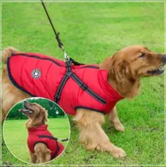 Item thumbnail for item 70312a3b-a97e-47a8-b0ef-2f36cf9e2c12