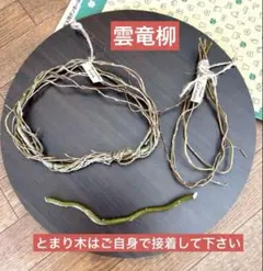 No.9005 雲竜柳のミニスワッグ台とハーフ用リース土台（とまり木付）