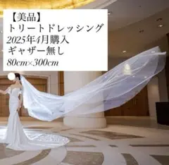 2025年最新】トリートドレッシング ベールの人気アイテム - メルカリ