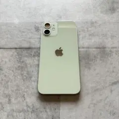 Apple iPhone 12mini 256GB SIMフリー　グリーン