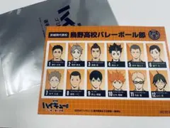 ハイキュー!!　ゴミ捨て場の決戦　選手名鑑風ブロマイド　烏野高校