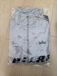 Item thumbnail for item 4b09c921-68e0-4da7-ab34-5f2da9dc270f