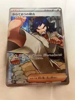 からておうの稽古　SR