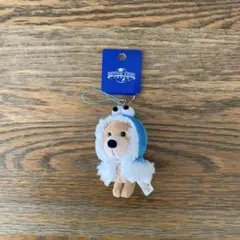 新品、未使用　ユニバーサル・スタジオ・ジャパン セサミストリート　キーホルダー