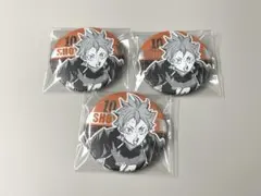 ハイキュー!! 日向翔陽