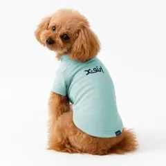 X-GIRL 犬用シャツ ミントグリーンのサムネイル