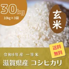 2026年最新】玄米 30Kg 令和6年の人気アイテム - メルカリ