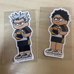 ハイキュー ジロリ 木兎光太郎