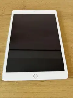 iPad 第8世代　Cellularモデル　シルバー