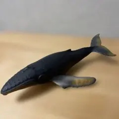 Item thumbnail for item 6d248618-90ed-4dac-a198-20f9ce07a876