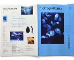 【最新号】メトロポリターナ/metropolitana 7月号 ５冊/ 岩田剛典