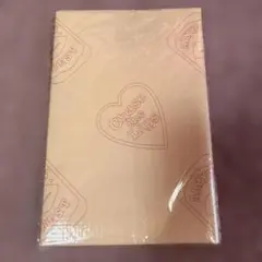 あいみょん Chase the Lips レジャーシート