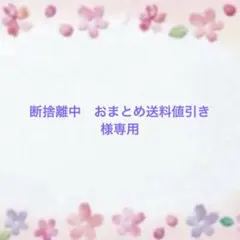 断捨離中　おまとめ送料値引き様専用