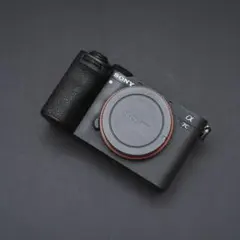 2026年最新】ソニー ミラーレス一眼カメラ α7C II ボディ [ILCE-7CM2