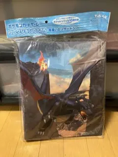 【新品 未開封】ポケモン コレクションファイル 色違いのリザードン ポケカ ②