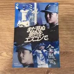 北海道日本ハムファイターズ 郡司裕也 柳川大晟 ステッカー