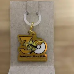 匿名配送　ポケチャーム　ポケチャーム　30周年ロゴマスコット　ゼラオラ