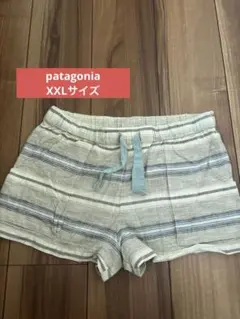 patagonia ストライプ柄ショートパンツ XXL バギーズ　ショーツ