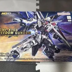 フリーダムガンダム mg