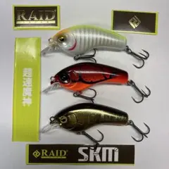 レイドジャパンSKM スーパー高速マシーン 3セットのサムネイル