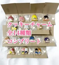 カラフルピーチ クッキーチャームコット 全14種類 全種 コンプリート コンプ