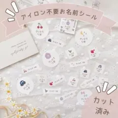 2025年最新】アイロンシール さくらんぼの人気アイテム - メルカリ