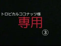 【トロピカルココナッツ様専用】4冊セット③