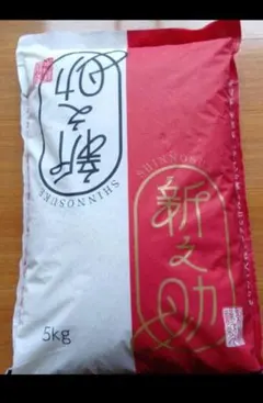 新之助 5kg×2袋 計10kg - メルカリ