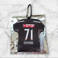アルビレックス新潟　グッズ