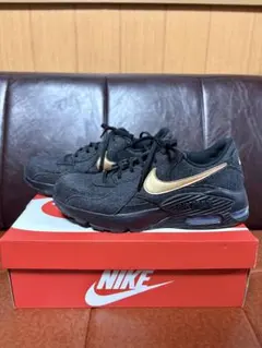 ナイキ エアマックス エクシーIR0798-010 ブラック ゴールド NIKE